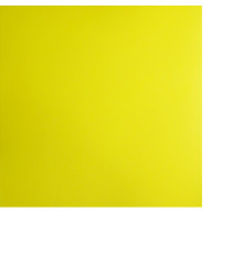 737440 Ватман цветной, желтый "GIALLO"200гр/м2, 50*70см, 6873