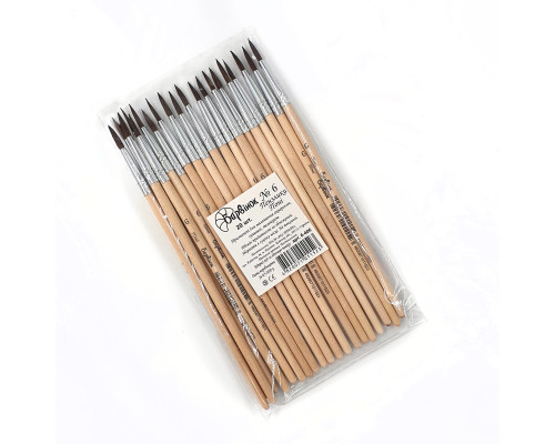 Pensule №6, art. 6-406, БАРВ(20/200/2000)