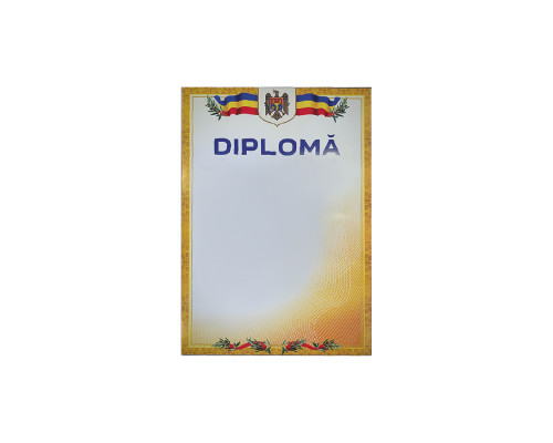 720738 Diploma А4 cu chenar galben U07 (100)