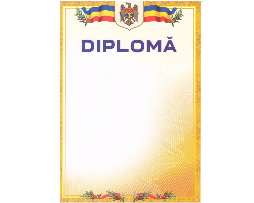 Diploma А4 cu chenar galben U07 (100)