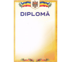 720738 Diploma А4 cu chenar galben U07 (100)