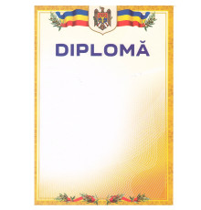 720738 Diploma А4 cu chenar galben U07 (100)