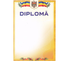 Diploma А4 cu chenar galben U07 (100)