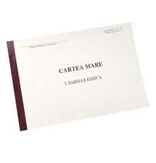 Главная книга, форма 308 96л для гос учережд.