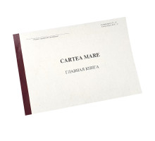 Cartea mare, formularul Nr.308 96f pentru inst. bugetare