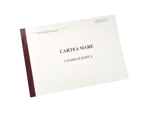 Главная книга, форма 308 96л для гос учережд.