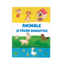 Carte de colorat "Animale si pasari domestice" A5, 12pag., P*2043