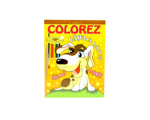 Colorez Catelul Labus (Labus) GH*6794