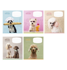 Caiet 12 file matematica Школярик, "Perfect friends" 012-3250K (30/300/600)