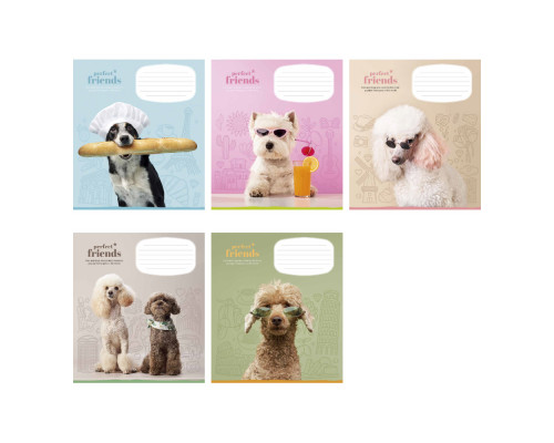 Tетрадь 12л. клетка Школярик, "Perfect friends" 012-3250K