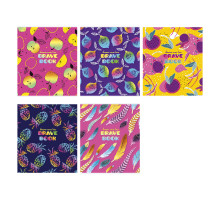 Tетрадь 12 листов клетка Genius "Brave book" 70г/м2, 012-3022K (30/300)