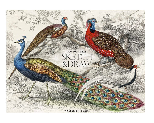 Альбом для эскизов, A5+ на склейке 40л, 115гр. MUSE PB-GB-040-068 (1/88)