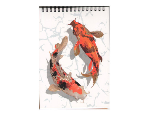 Carnet A5, 60 foi, matem, spira dubla orizontala M*5634 (50)