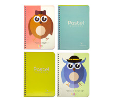 Carnet A6 50foi, matem., spira, Gingko (12)