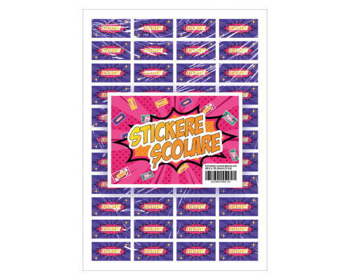 Set de stichere pentru clasele primare A4 5foi x56buc CM*2135