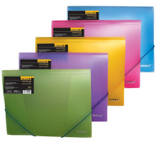 Mapa cu elastic A4 Scholz 10507 asorti (20)