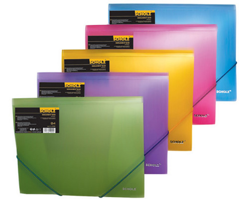 Mapa cu elastic A4 Scholz 10507 asorti (20)