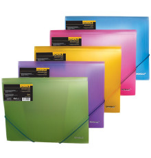 Mapa cu elastic A4 Scholz 10507 asorti (20)