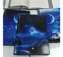 Carnet A5, 96foi matem., coperta tare, Luna, Gingko (16)