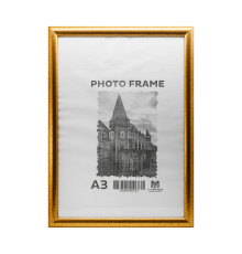 Фоторамка A3 золото 20мм F2002-2 CM*2193