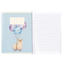 Сaiet euro 24 foi, linie punctata, coperta cartonata, М*1759 (10/200)