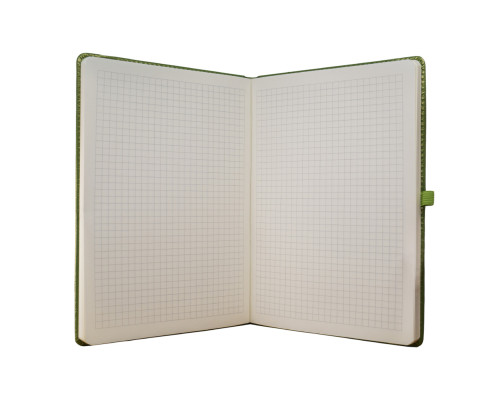 Carnet А5 120foi, matem., cu elastic, piele eco, verde, 9255