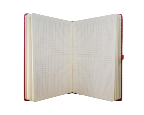 Carnet А5 120foi, matem., cu elastic, piele eco, bordo, 9254 Carnet А5 120foi, matem., cu elastic, piele eco, bordo, 9254