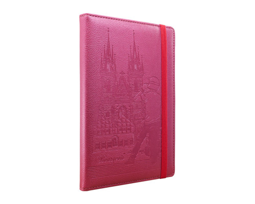 Carnet А5 120foi, matem., cu elastic, piele eco, bordo, 9254