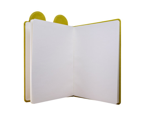 Carnet p/u copii А5 80foi, fară liniatură, piele eco, oliva, 9328