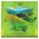 Carnet 195x195mm, 80foi, linie 1NB753