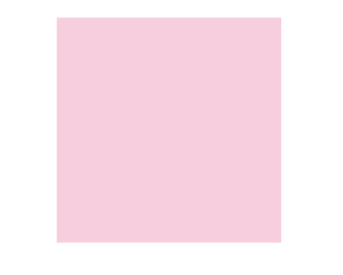 745910 Ватман цветной,розовый "FORMOSA ROSA" 50*70cm, 250g/m2, 090601