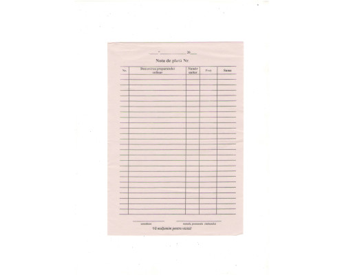 Nota de plata A-5 (set 100foi) ziar