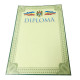 707361 Diploma (verde) N*4784