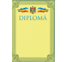 707361 Diploma (verde) N*4784