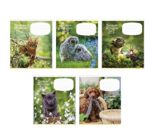 Caiet 12 foi linie Star Star"Story" (animals) 012-2788L