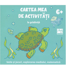 Cartea mea de activitati la gradinita: teste si jocuri, 6+ 150114 C*6933
