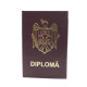 683684 Обложка для документов "Diploma"