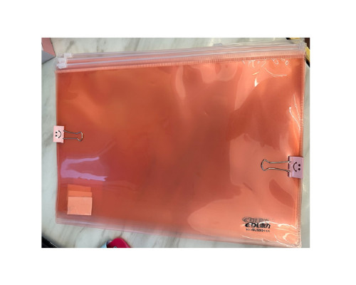 Папка с молнией Zipper Bag A4 asorti DL5293 (12/240)
