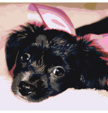 Set pictură pe numere 40*50 "Cățeluș adorabil" 3255