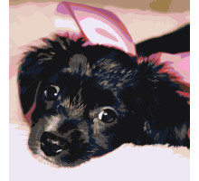 Set pictură pe numere 40*50 "Cățeluș adorabil" 3255