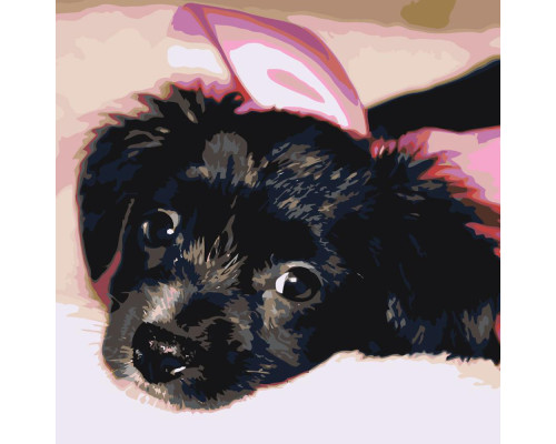 Набор для рисования по номерам 40*50 "Очаровательный щенок" 3255