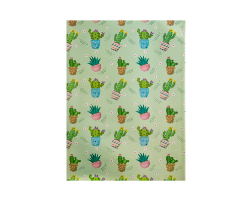 042586 Hartie de ambalat cadouri "Cactus" asorti 80g, 75x51cm (50/1000)