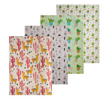 042586 Hartie de ambalat cadouri "Cactus" asorti 80g, 75x51cm (50/1000)