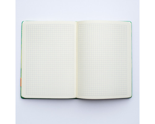 Carnet А5 80foi, matematica, piele eco, verde metalic, 9043