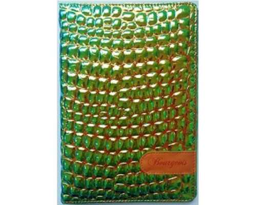 Carnet А5 80foi, matematica, piele eco, verde metalic, 9043