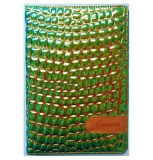 Carnet А5 80foi, matematica, piele eco, verde metalic, 9043