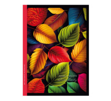 Carnet А5 64foi, matem., coperta integrala, 23106 (10)