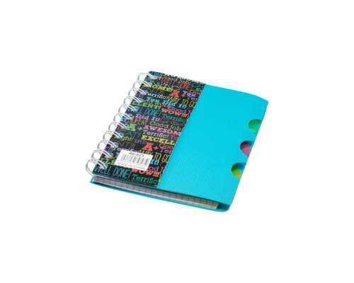 Carnet А6 plastic cu spirala 100foi, cu 3 separatoare A6-821 (240)