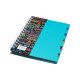 Carnet А5 plastic cu spirala 100foi, cu 5 separatoare A5-821 (140)