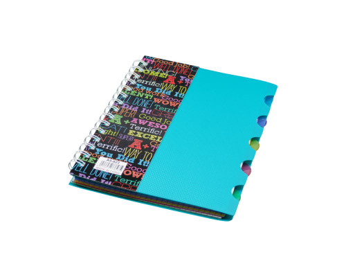 Carnet А5 plastic cu spirala 100foi, cu 5 separatoare A5-821 (140)